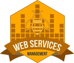 Web Services Management: Durango Web Design, Development, Web Hosting, Email, IDX for Realtors, SEO & WSO